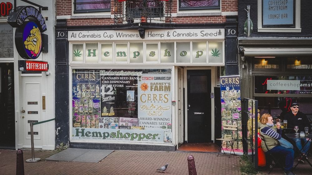 TradingKey - Cannabis stocks soared after President Donald Trump announced on Monday that he is considering reclassifying cannabis to a less-dangerous drug classification, with a decision expected in the coming weeks.